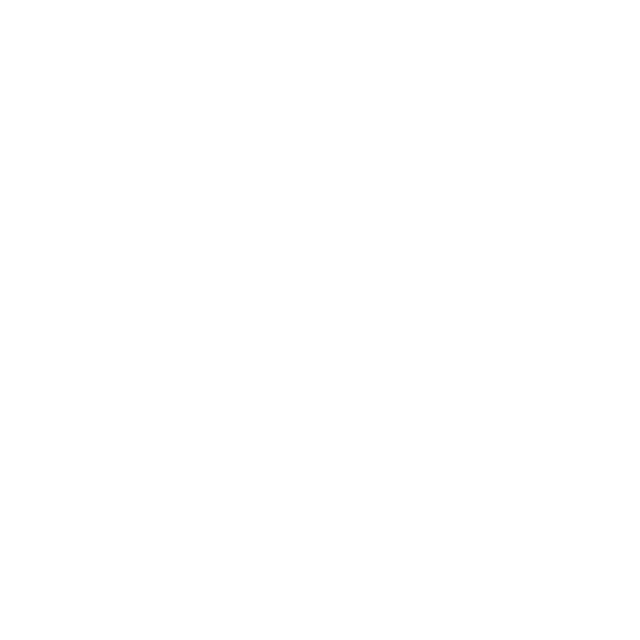 NAI Diffusion 4.5 Full logo